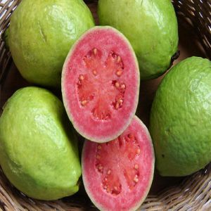 Guava Thailand Pink